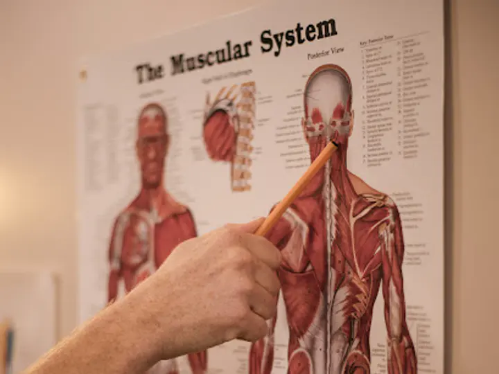 Active Body Therapy Centre in Callan