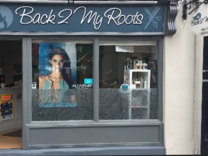 Back 2 My Roots in Wicklow