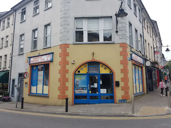 Sunbedsgalway | Tropical Paradise in Galway