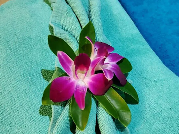 Thai Massage Belfast in Belfast